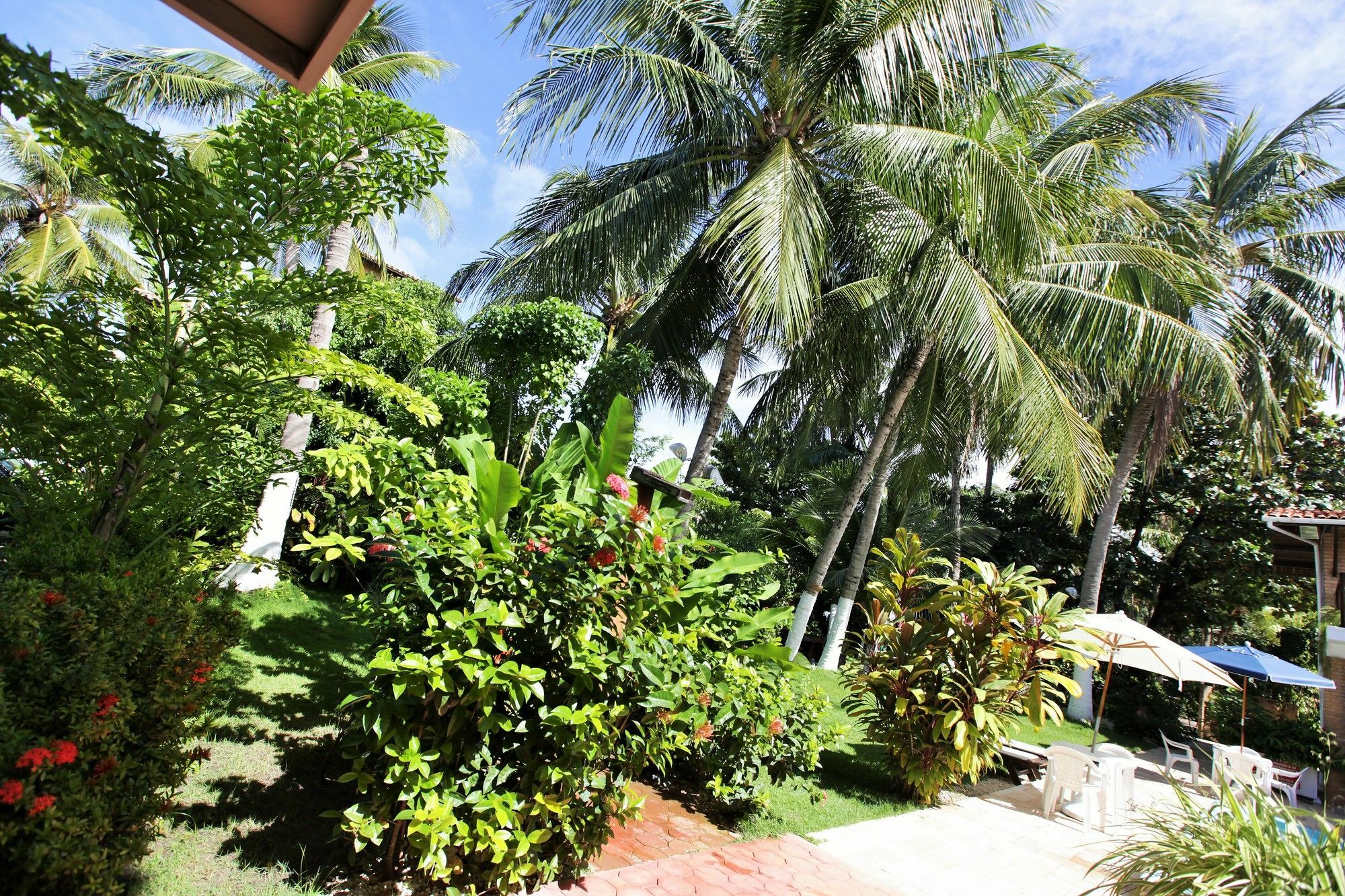 Pousada Lua Cheia Praia do Frances Exterior photo